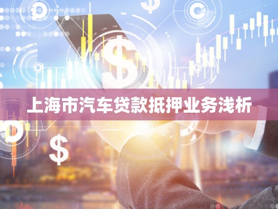 上海市汽車貸款抵押業(yè)務(wù)淺析