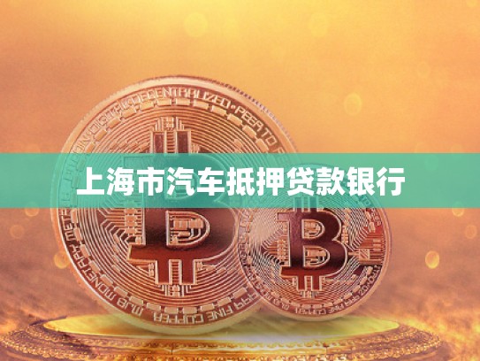 上海市汽車抵押貸款銀行