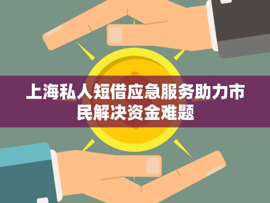 上海私人短借應(yīng)急服務(wù)助力市民解決資金難題
