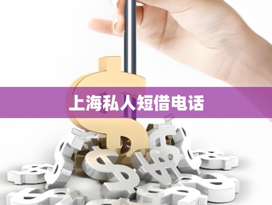 上海私人短借電話