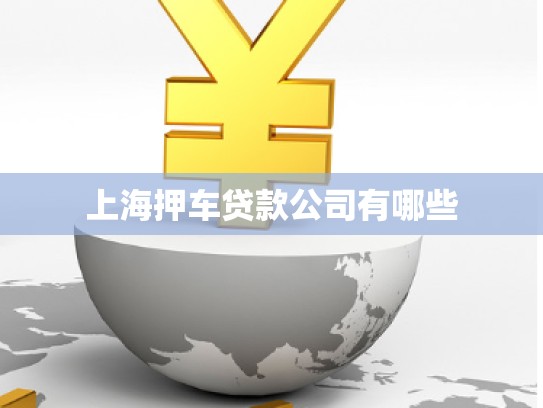 上海押車貸款公司有哪些