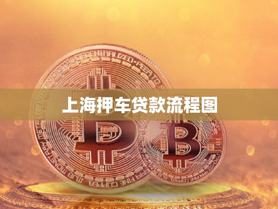上海押車(chē)貸款流程圖