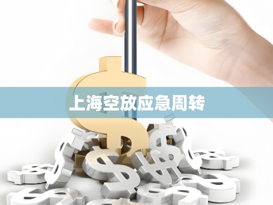 上?？辗艖?yīng)急周轉(zhuǎn)