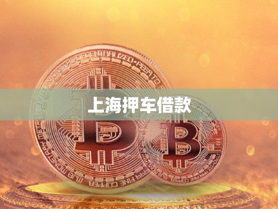 上海押車借款 上海押車借款