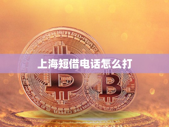 上海短借電話怎么打