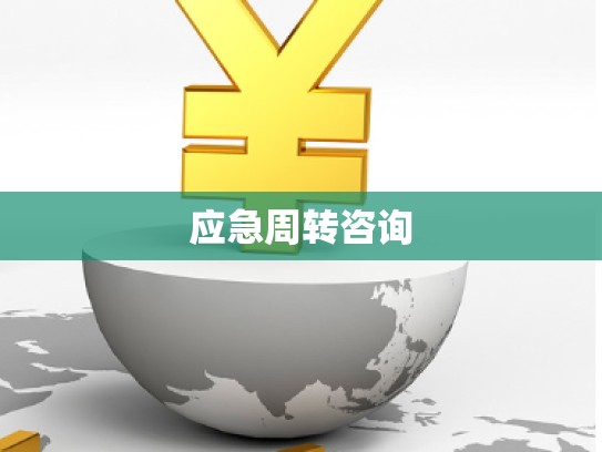 應(yīng)急周轉(zhuǎn)咨詢