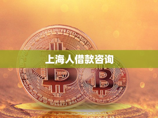 上海人借款咨詢
