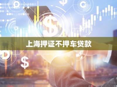 上海押證不押車貸款