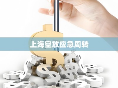 上海空放應(yīng)急周轉(zhuǎn)